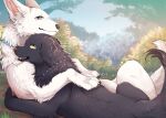  2022 ambiguous_gender berger_blanc_suisse bird_dog black_body black_fur blue_eyes blush canid canine canis cody_(tsukune_minaga) comic cover_art cuddling digital_media_(artwork) domestic_dog doujinshi duo felicia_(tsukune_minaga) female_(lore) feral flat_coated_retriever floppy_ears fluffy fluffy_ears fluffy_tail fur grass herding_dog hi_res hunting_dog lop_ears lying male_(lore) mammal monotone_body monotone_fur mouth_closed on_front on_side open_mouth outside pastoral_dog pink_inner_ear plant quadruped retriever shrub tail tsukune_minaga white_body white_fur yellow_eyes 