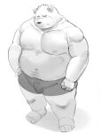  2023 anthro bear bulge clothing hi_res humanoid_hands kemono male mammal moobs nipples overweight overweight_male simple_background solo sv_grart underwear white_background 