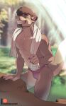  abs absurd_res anthro athletic athletic_male bodily_fluids bulge claws clothing detailed_background eyes_closed hi_res male mammal mustelid otter patto pecs raised_tail smile solo speedo sweat swimwear tail towel towel_around_neck waterfall 