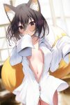  1girl animal_ear_fluff animal_ears blue_archive blurry blurry_background blush bottomless breasts brown_hair collared_shirt covering_mouth cowboy_shot fox_ears fox_girl fox_tail hair_between_eyes hands_up highres izuna_(blue_archive) naked_shirt navel nidaime_(doronbo) oversized_clothes oversized_shirt partially_unbuttoned shirt short_hair sleeves_past_fingers sleeves_past_wrists small_breasts solo standing tail white_shirt yellow_eyes 