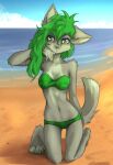 2023 4_toes absurd_res anthro barefoot beach bikini breasts canid canine canis claws clothing digital_media_(artwork) feet female female_anthro fur green_eyes green_hair green_nose green_pawpads hair hi_res kemono kneeling looking_at_viewer mammal multicolored_body multicolored_fur navel pawpads paws sea seaside solo swimwear tinygaypirate toe_claws toes water wolf 