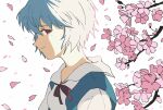  1girl ayanami_rei blue_eyes cherry_blossoms closed_mouth highres neon_genesis_evangelion red_eyes red_ribbon ribbon school_uniform shiso7110 short_hair simple_background smile solo tokyo-3_middle_school_uniform tree white_background 