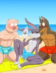  anthro athletic athletic_anthro beach blush blush_lines bodily_fluids bugs_bunny bulge canid canine canis clothed clothing dobermann domestic_dog domestic_pig excited fur gloves grey_body grey_fur group handwear hi_res imminent_sex jackofak lagomorph leporid looney_tunes male male/male mammal oil outside partially_clothed pinscher rabbit seaside slender_body slim suid suina sus_(pig) sweat sweatdrop swimwear trio warner_brothers 