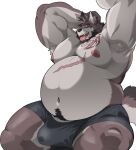  2023 anthro beard belly big_belly black_clothing black_underwear brown_body brown_fur bulge canid canine canis clothed clothing erection erection_under_clothing facial_hair fur hi_res kemono lucusold male mammal open_mouth overweight overweight_anthro overweight_male raised_arms scar solo tattoo underwear white_body white_fur wolf yawn 