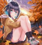  16bit_sensation 1girl akisato_konoha artist_name ass autumn black_socks blue_hair blue_skirt blush brown_jacket closed_mouth colored_inner_hair dark_blue_hair dated falling_leaves fluno forest green_eyes highres holding_legs jacket leaf legs lens_flare long_sleeves looking_at_viewer miniskirt multicolored_hair nature on_ground panties pantyshot pleated_skirt shoes short_hair sitting skirt sky sneakers socks solo sunset thighs tongue tongue_out tree underwear white_panties 