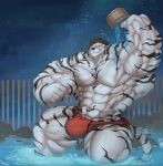  5_fingers abs anthro biceps big_muscles bruce892741 bulge clothed clothing felid fingers hi_res huge_muscles hyper hyper_muscles male mammal muscular muscular_anthro muscular_male muscular_thighs night pantherine partially_submerged_legs pecs solo stripes tail thong tiger topless underwear underwear_only wooyeong 