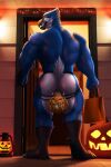  anthro avian bird blue_body blue_fur blue_jay bodily_fluids clothing corvid cum cum_inside dream_and_nightmare food fruit fur gaping genital_fluids halloween hi_res holidays jay_(bird) jockstrap male muscular new_world_jay oscine passerine plant pumpkin pumpkin_basket pumpkin_head solo trick_or_treat underwear 