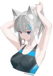  1girl absurdres adjusting_clothes animal_ear_fluff animal_ears armpits arms_up bare_shoulders blue_archive blue_eyes breasts closed_mouth commentary cropped_torso cross_hair_ornament earrings extra_ears grey_hair hair_ornament highres jewelry looking_to_the_side luozhou_pile medium_breasts medium_hair mouth_hold multicolored_clothes multicolored_swimsuit official_alternate_costume one-piece_swimsuit ponytail shiroko_(blue_archive) shiroko_(swimsuit)_(blue_archive) simple_background solo stud_earrings swimsuit upper_body white_background wolf_ears 