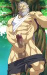  1boy abs against_tree bara bare_pectorals beard censored erection facial_hair feet_out_of_frame from_below grey_hair highres large_pectorals large_penis lifted_by_self long_beard looking_at_viewer male_focus mature_male mosaic_censoring muscular muscular_male navel navel_hair nipples old old_man pectorals penis penis_grab presenting senzaemon_nakiri shirako_(kirupi) shokugeki_no_souma shorts solo stomach tank_top thick_eyebrows thick_mustache thick_thighs thighs tree underpec v-taper white_tank_top wrinkled_skin 