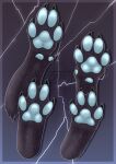  absurd_res feral hi_res light_paws male pawpads paws solo zhekathewolf 