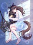  1girl ahoge animal_ears barefoot bed_sheet blurry blurry_foreground blush brown_hair closed_eyes daring_tact_(umamusume) dress highres horse_ears horse_girl horse_tail kashmir_0808 long_hair long_sleeves lying on_side parted_lips pillow see-through see-through_dress sleeping solo stuffed_animal stuffed_horse stuffed_toy tail toes umamusume 