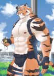  2023 abs absurd_res anthro biceps biped brown_body brown_fur brown_stripes bulge chief_gilbert clothed clothing cloud day digital_media_(artwork) eyebrows felid fingerless_gloves fur gloves gunn_(chief_gilbert) handwear harness hi_res male mammal muscular muscular_anthro muscular_male muscular_thighs nipples old orange_body orange_fur outside pantherine pecs plant police quads shrub sky solo striped_body striped_fur stripes tan_body tan_fur tiger underwear 