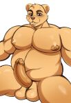  absurd_res anthro awordnax balls bear chubby_anthro chubby_male genitals hi_res male mammal moobs nipples penis solo 