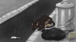  domestic_cat felid feline felis feral hi_res hunting male mammal mouse murid murine rodent solo street trash 