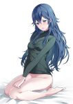  1girl alternate_costume ameno_(a_meno0) black_sweater blue_eyes breasts fire_emblem fire_emblem_awakening hand_on_leg long_hair lucina_(fire_emblem) no_panties parted_lips ribbed_sweater seiza sitting small_breasts solo sweater white_background 