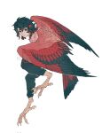  1boy animal_feet artist_name bird_legs bird_tail bird_wings black_hair claws closed_mouth collared_shirt colored_tips feathered_wings full_body green_eyes harpy_boy head_wings highres looking_at_viewer male_focus monster_boy multicolored_hair original red_hair red_shirt red_wings shirt short_hair shuini_xiaomao simple_background solo tail white_background wings 