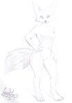  absurd_res anthro breasts canid canine female fenjay fennec fox genitals hi_res leokato mammal pussy simple_background smile solo 