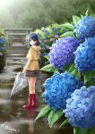  1girl artist_name black_skirt blue_hair boots brown_skirt closed_umbrella commentary_request day domestic_na_kanojo fence flower forest frilled_skirt frills from_behind highres hydrangea looking_at_viewer looking_back nature official_art outdoors rain raincoat red_footwear rubber_boots sasuga_kei short_hair skirt solo tachibana_rui torii umbrella wet yellow_raincoat 