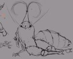  &lt;3 2_toes 3_fingers 4_arms ambiguous_gender antennae_(anatomy) anthro arthropod arthropod_abdomen arthropod_abdomen_genitalia barely_visible_genitalia black_and_white feet fingers front_view fur genitals insect lepidopteran looking_at_viewer monochrome moth multi_arm multi_limb nude pokast simple_background solo toes 
