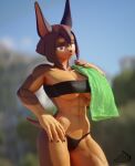  2023 3d_(artwork) abs anthro bandeau black_bikini_bottom breasts brown_body brown_fur brown_hair canid canine canis clothing countershade_fur countershading digital_media_(artwork) dobermann dog_knight_rpg domestic_dog female fur hair hi_res mammal muscular muscular_anthro muscular_arms muscular_female nipple_outline pinscher rileyfoxxo rory_(ceehaz) solo tan_body tan_fur topwear towel under_boob 