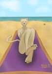  5_toes absurd_res anthro arthropod barefoot beach bethesda_softworks claws convenient_censorship crab crustacean decapoda feet felid female foot_focus hi_res khajiit khaki_fur looking_at_viewer malacostracan mammal marine nakedpillow plantigrade sand seaside shaded simple_background simple_coloring simple_shading sitting solo the_elder_scrolls toe_claws toes yellow_eyes 