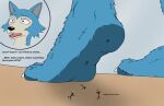  2022 anthro barefoot beastars black_nose blue_body blue_fur canid canine canis colored cutaway dialogue digital_drawing_(artwork) digital_media_(artwork) english_text exclamation_point extreme_size_difference feet foot_fetish foot_focus fur larger_anthro larger_male legoshi_(beastars) macro male mammal micro pawpads paws pink_tongue plantigrade question_mark simple_background size_difference smaller_anthro smellslikejavier stick_figure stuck_to_foot text tongue unaware wolf 