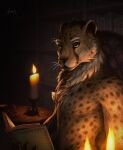  azhax book bookshelf candle chair cheetah felid feline furniture hi_res mammal 
