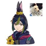  1boy animal_ear_fluff animal_ears black_hair commentary dog flower fox fox_boy fox_ears genshin_impact golden_retriever gradient_hair green_eyes green_hair hair_between_eyes hannilem highres hood hoodie light_frown looking_at_viewer male_focus medal multicolored_hair photo-referenced photo_inset real_life signature simple_background solo tied_ears tighnari_(genshin_impact) twitter_username unamused white_background yellow_flower 