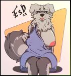  absurd_res anthro big_breasts blep breasts canid canine canis cheek_tuft chubby_belly chubby_female chubby_male clothing domestic_dog facial_tuft female fluffy fluffy_tail fsdog fur grey_body grey_fur hi_res huge_breasts mammal nipples slightly_chubby solo solo_focus solo_in_panel tail tan_body tan_fur tongue tongue_out tuft undressing 