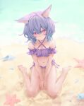  1girl animal_ear_fluff animal_ears barefoot beach between_legs bikini breasts cat_ears commentary_request commission conch day english_commentary frilled_bikini frills full_body hand_between_legs io_(io_oekaki) light_purple_hair looking_at_viewer medium_hair mixed-language_commentary navel original outdoors own_hands_together pink_eyes pixiv_commission purple_bikini seashell shell sitting small_breasts smile starfish swimsuit wariza water 