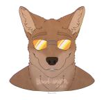  2022 alpha_channel anthro black_nose blood-wolf94 brown_body brown_fur brown_tuft canid canine canis colored countershade_face countershading coyote dated digital_media_(artwork) eyebrows eyewear front_view fur glistening glistening_eyewear glistening_sunglasses headshot_portrait inner_ear_fluff male mammal orange_eyewear orange_sunglasses orthographic_projection outline portrait scp-2547-1 scp_foundation signature simple_background smile solo sunglasses transparent_background tuft watermark white_outline 