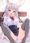  1girl animal_ears bed blush breasts curtains fang fox_ears fox_girl fox_tail grey_hair hair_between_eyes highres long_hair open_mouth original panties pillow school_uniform solo spread_legs tail tateha_(marvelous_grace) thighhighs underwear 