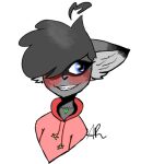 anonymous_artist anthro blue_eyes blush choker girly jewelry male male/male mammal necklace procyonid raccoon rascal_(rascal_the_raccoon) solo 