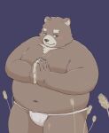  2022 anthro asian_clothing bear belly big_belly blush clothing east_asian_clothing fundoshi humanoid_hands japanese_clothing kemono male mammal overweight overweight_male simple_background solo t_wais002 underwear white_clothing white_fundoshi white_underwear 