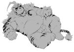  absurd_res anthro balls belly erection felid genitals greyscale hi_res hombretigre lifewonders lying male mammal monochrome musclegut navel nipples on_back pantherine pecs penis solo speedo_aside tiger tokyo_afterschool_summoners tuokemao 