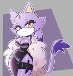  anthro big_breasts blaze_the_cat blush breasts cleavage clothed clothing domestic_cat felid feline felis female hi_res mammal sega sinrizuki solo sonic_the_hedgehog_(series) 