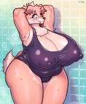  anthro biped blush breasts camel_toe canid canine canis cleavage clothed clothing detailed_background domestic_dog eyewear female fur glasses hands_behind_head hi_res mammal nipple_outline school_swimsuit smile solo sususuigi swimwear tan_body tan_fur 