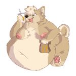  anthro belly breasts canid canine canis domestic_dog eating feeding food hi_res male mammal mushy_(mushreem) nipples nude obese open_mouth overweight overweight_anthro puppitoys shiba_inu smile solo spitz weight_gain 