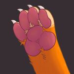  4_toes absurd_res ambiguous_gender animal_humanoid anthro barefoot cat_humanoid colored feet felid felid_humanoid feline feline_humanoid foot_fetish foot_focus hi_res hindpaw humanoid mammal mammal_humanoid pawpads paws pink_pawpads shaded skye_knightingale_(artist) solo solo_focus toes 