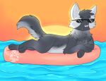  2021 artist_logo artist_name bow_(bowhuskers) canid canine canis detailed_background evening eyewear feral fur grey_body grey_fur izzyhime logo lying male mammal on_front pool_toy solo sparkles sun sunglasses water wolf 