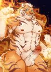  1boy abs absurdres bara blush completely_nude cum cum_on_body cum_on_male cum_on_pectorals daisukebear ejaculation erection feet_out_of_frame fire flaming_hand furry furry_male gyee handsfree_ejaculation highres large_pectorals lin_hu_(nekojishi) looking_at_viewer male_focus mature_male muscular muscular_male navel nekojishi nipples nude orange_fur paid_reward_available pectorals penis pyrokinesis seductive_smile short_hair smile solo stomach thick_thighs thighs tiger_boy uncensored 