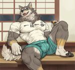  2023 anthro barazoku barefoot beverage beverage_can biceps big_bulge big_muscles bottomwear bulge can canid canine canis claws clothed clothing container eyebrows feet fur hi_res holding_beverage holding_can holding_container holding_object inside japanese_text kemono looking_at_viewer male mammal muscular muscular_anthro muscular_male ogami_aratsuka open_mouth open_smile pawpads pecs quads rossciaco scar shirt shorts sitting smile solo teeth text text_on_clothing text_on_shirt text_on_topwear thick_thighs tight_clothing tongue topwear tuft vtuber wolf 