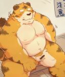  2023 anthro balls belly blush censored eyes_closed felid flaccid genitals kemono kumazawow male mammal moobs overweight overweight_male pantherine penis pubes solo tiger 