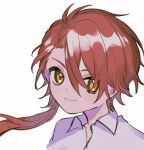  1boy aged_down cain_knightley closed_mouth highres long_hair looking_at_viewer low_ponytail mahoutsukai_no_yakusoku male_child male_focus piza-chan red_hair shirt sketch smile solo white_background white_shirt yellow_eyes 