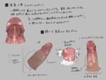  anatomy arrow_(symbol) bara collage cum disembodied_penis ejaculation erection highres how_to male_focus original penis shrimp_g_r18 testicles thick_penis translation_request uncensored veins veiny_penis 