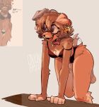  absurd_res age_difference anthro bell bone bra canid canine canis clothing collar domestic_dog eyewear female floppy_ears glasses hi_res mammal onionbred panties solo tail tail_motion tailwag teeth underwear younger_female 