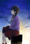  1girl black_eyes black_socks blue_sky braid brown_hair cloud commentary_request expressionless feet_out_of_frame from_side highres long_hair madotsuki parted_lips profile purple_sweater red_skirt saitou_nekoichi sitting skirt sky socks solo sweater twin_braids yume_nikki 