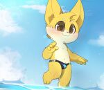  anthro blush brown_eyes clothed clothing cloud countershading detailed_background fur head_tuft hi_res league_of_legends male navel riot_games sea sky smile smite_(artist) smite_(character) solo speedo speedo_only swimwear topless tuft v-line water white_body white_countershading yellow_body yellow_fur yordle 