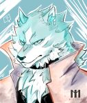  blue_eyes brand_new_animal collar frown furry highres male_focus ogami_shirou trench_coat wolf 