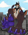  absurd_res animal_genitalia anthro canid canine canis city city_background city_destruction crush feet female foot_crush foot_fetish foot_focus fox fully_sheathed genitals grin group hi_res looking_at_viewer macro macro_focus macro_male male mammal micro micro_abuse micro_on_macro mischevious pawpads shadyshapeshifter sheath size_difference smile wolf 